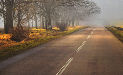 Morning empty road in fog. Spring, autumn