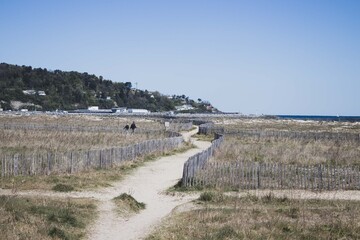 Wood fence in the beach