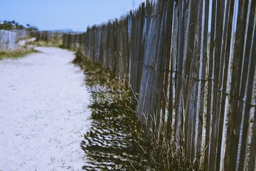 Wood fence in the beach
