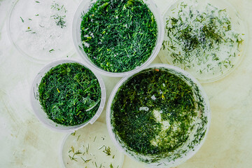 frozen fresh green dill in a plastic container. freeze food to keep it fresh. reasonable storage of...
