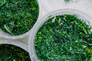 frozen fresh green dill in a plastic container. freeze food to keep it fresh. reasonable storage of products. food supplies. selective focus