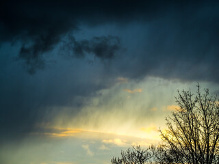 Sunset shining through dark rain clouds, tree in foreground 