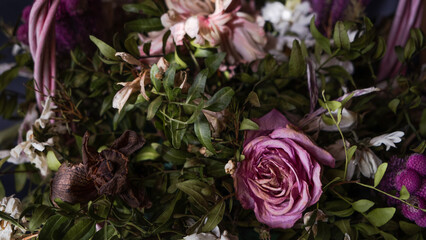 Floral composition of different dry flowers as abstract shadowy background close-up view