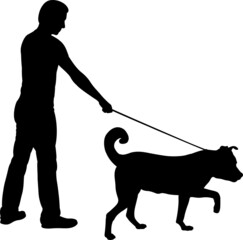 silhouette of man walking a dog - 426975027