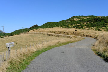 gravel road near Akaroa, Banks Peninsula, Canterbury, New Zealand