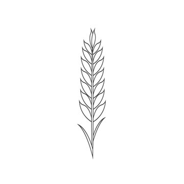 Minimalistic Wheat Line Icon. Simple Barley, Weat, Rice Outline Logo Vector Illustration. Linear Wheat Isolated On White Background. Farm And Bakery Symbol