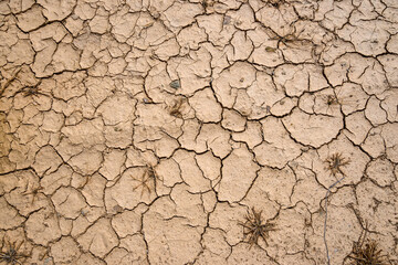 Dry and cracked ground. Texture with natural patterns.