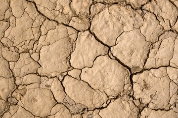 Dry and cracked ground. Texture with natural patterns.