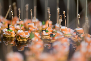 sandwich, mini canapes, buffet food, catering food party at restaurant, snacks and appetizers, mini cake, food for the event