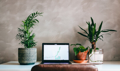 Workstation with laptop with financial chart (trading) in home or office with green tropical plants on white desk and gray concrete wall