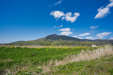 春の筑波山と菜の花