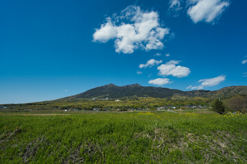 日向ぼっこをしたくなる季節