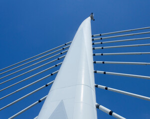 Modern suspension bridge tower and mutliple symmetrical suspension cables connected to the foot in low angle view image. Cables are covered with spiral layers to reduce wind load.