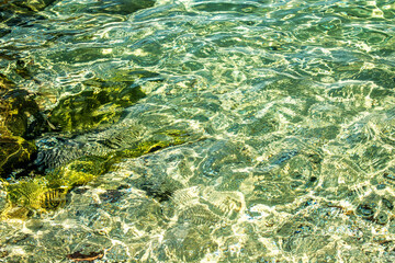Naklejka na ściany i meble Top view of crystal clear sea water from a person's height, at a shallow coast, providing an almost abstract image.