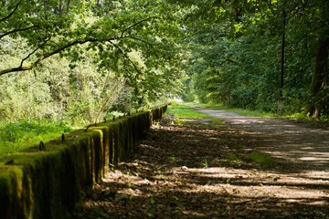 Broad path with a low wall in the woods on a sunny day with 