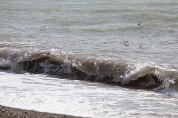 waves on the beach