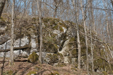 Massive rock covered with moss