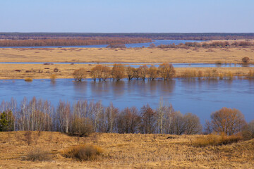 Landscape with flooded banks of the Oka river in Russia and with flooded trees on a sunny clear day, in golden-blue tones.
