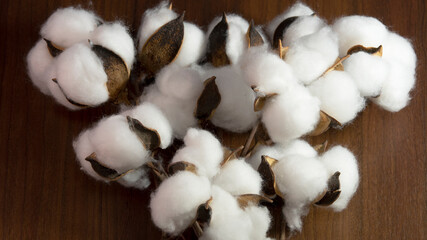 close up of harvested cotton on wooden background