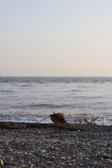 sunset on the beach