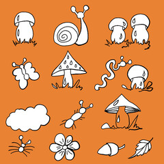 forest fruits, forest dwellers, mushrooms, white mushrooms, russula mushrooms,toadstools, chanterelles, worms, snails, butterflies, grass, ants, print for printing on a backpack, print for printing on