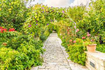 Fototapeta na wymiar November 2020. Kato Drys in Larnaca District, Cyprus. Garden in The traditional village of Kato Drys Cyprus,