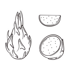 Fresh juicy pitaya in hand drawn doodle style. Whole, halves, parts of tropical dragon fruit. Set of vector illustrations isolated on white background.