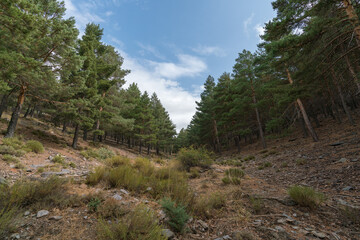 mountainous landscape of Sierra Nevada