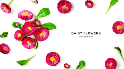 Pink daisy flowers composition. © ifiStudio