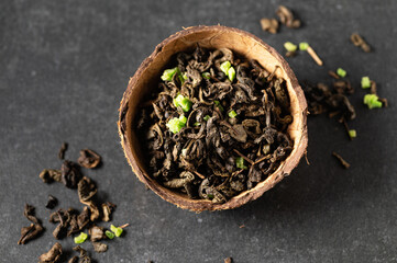 green dry tea leaf with sausep fruit in a coconut bowl with scattered leaves, gray background, close-up, top view