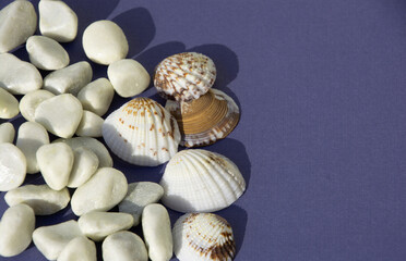 vacation greeting card with seashells and stones summer life