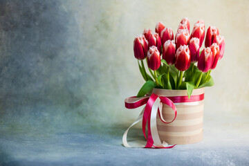 Bouquet of red-white tulips in a round striped gift box with a pink ribbon in the studio. Light yellow blue gradient background. Place for text