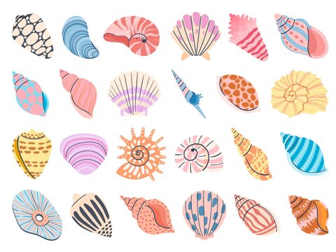 Tropical seashell. Cartoon clam, oyster and scallop shells. Colorful underwater conches of mollusk and sea snail. Ocean shellfish vector set