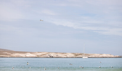Langebaan Lagoon, South Africa. A Beautiful tourist destination with rocky coastline with seagulls and sail boat in the background.