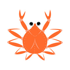 orange crab with big black eyes and tentacles on a white background is insulated. close-up