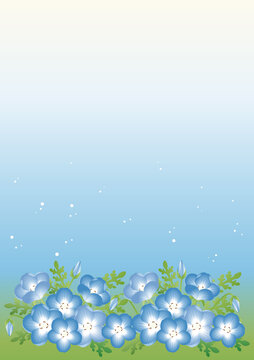 ネモフィラ属 Images Browse 192 Stock Photos Vectors And Video Adobe Stock