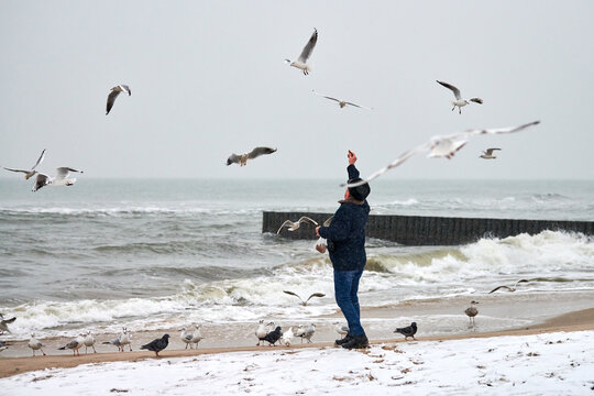 Old Man Feeding Birds At Sea In Winter