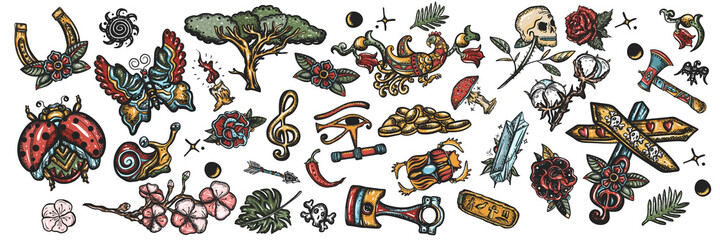 Tattoo collection. Big set for design. Old school colorful elements, tattooing style