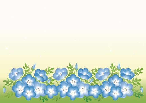 192 Best ネモフィラ属 Images Stock Photos Vectors Adobe Stock 192 Best ネモフィラ属 Images Stock Photos Vectors Adobe Stock