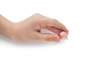 garlic clove in the palm of your hand isolated on a white background