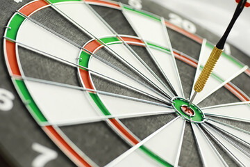 Darts. The dart for playing in the game board is stuck. Hit the sector in darts. The concept of a...