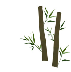 Bamboo vector stock illustration. Young stems and shoots with green leaves of a tropical tree. For spa and cosmetics labels. Wood of a herbaceous Chinese plant. Isolated on a white background.