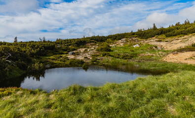 Fototapeta na wymiar Small puddle with green bushes around next to mountain trail at Giant Mountains