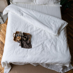 wooden tray with light breakfast on bed on bed with white linen