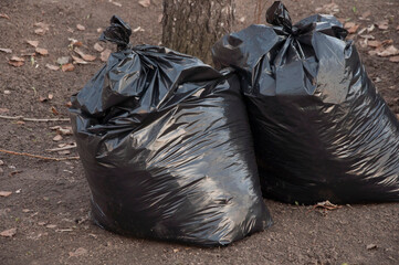 Black bags full filled with autumn leaves in a park. City park cleaning from fallen leaves.