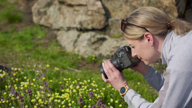 Young woman photographs flowers while traveling. She is passionate about her hobby and enjoys it. Take photographs for sale on a photo stock.