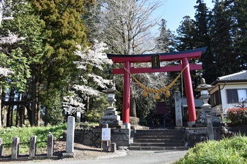 Fototapeta na wymiar 群馬の名所　吾妻神社　春の風景