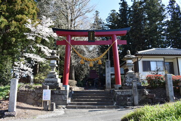 群馬の名所　吾妻神社　春の風景