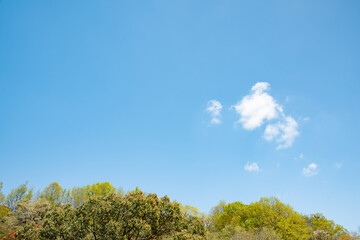 春の里山上空の青空と雲