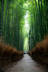 Arashiyama Kyoto